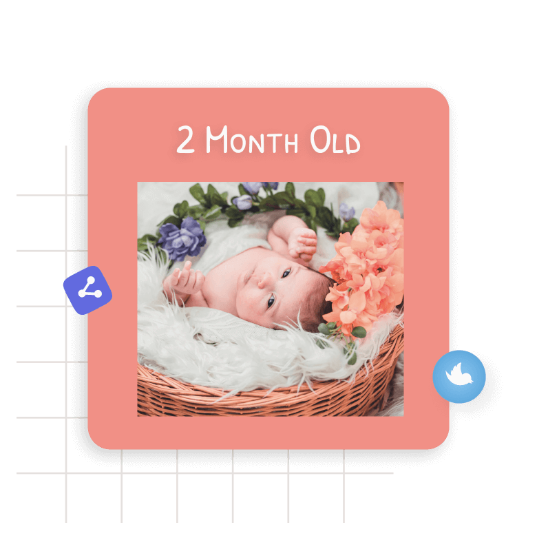 Baby Milestones Templates Monthly, Yearly, and Occasionally LightX
